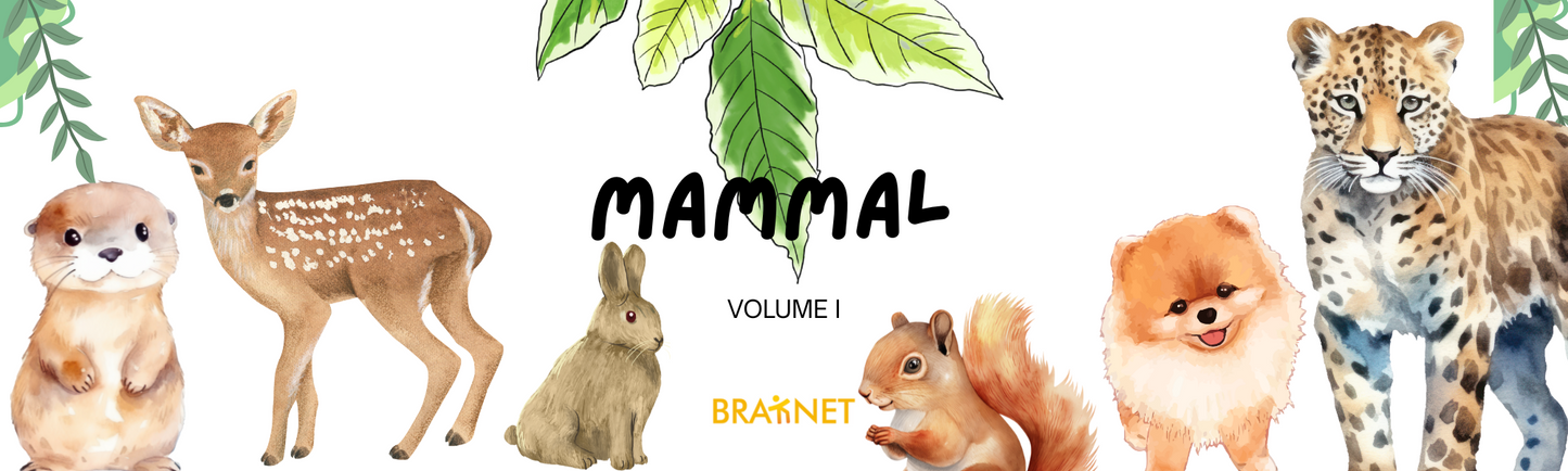 Mammals Vol. 1