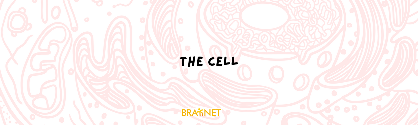 The Cell