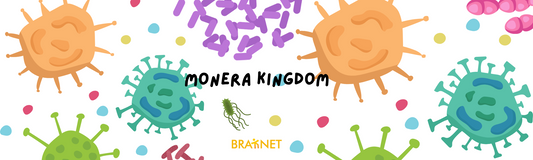 Monera Kingdom