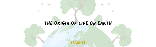 The Origin of Life on Earth